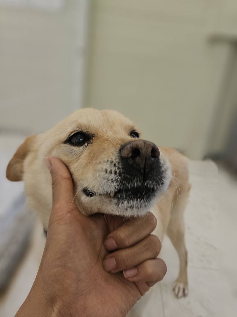 베르