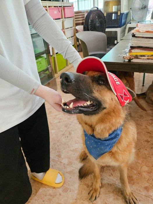 보름