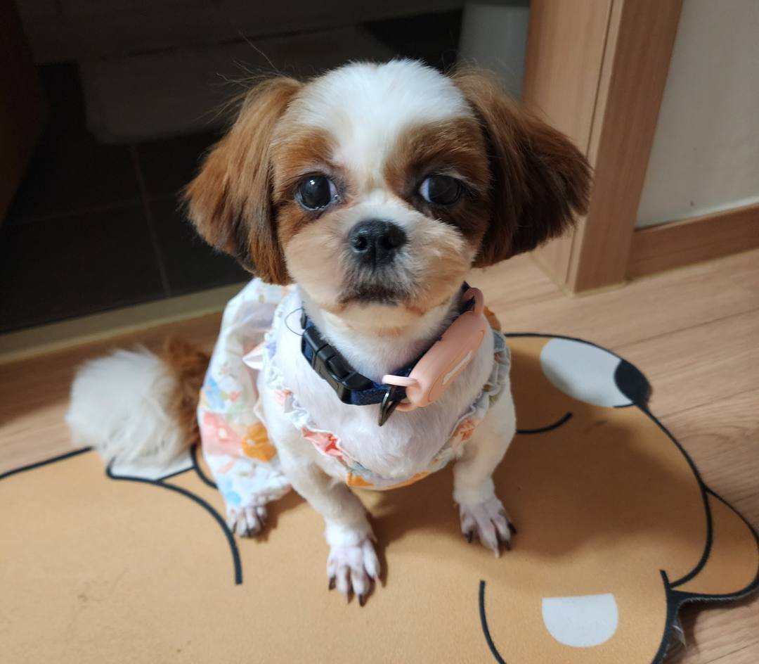 미루