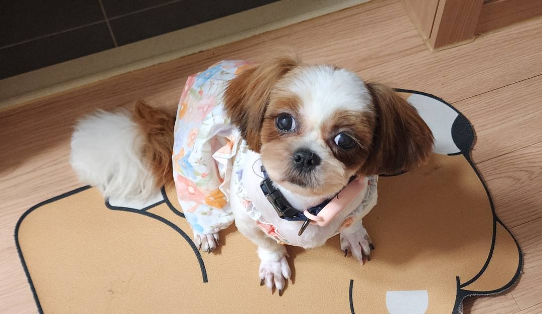 미루