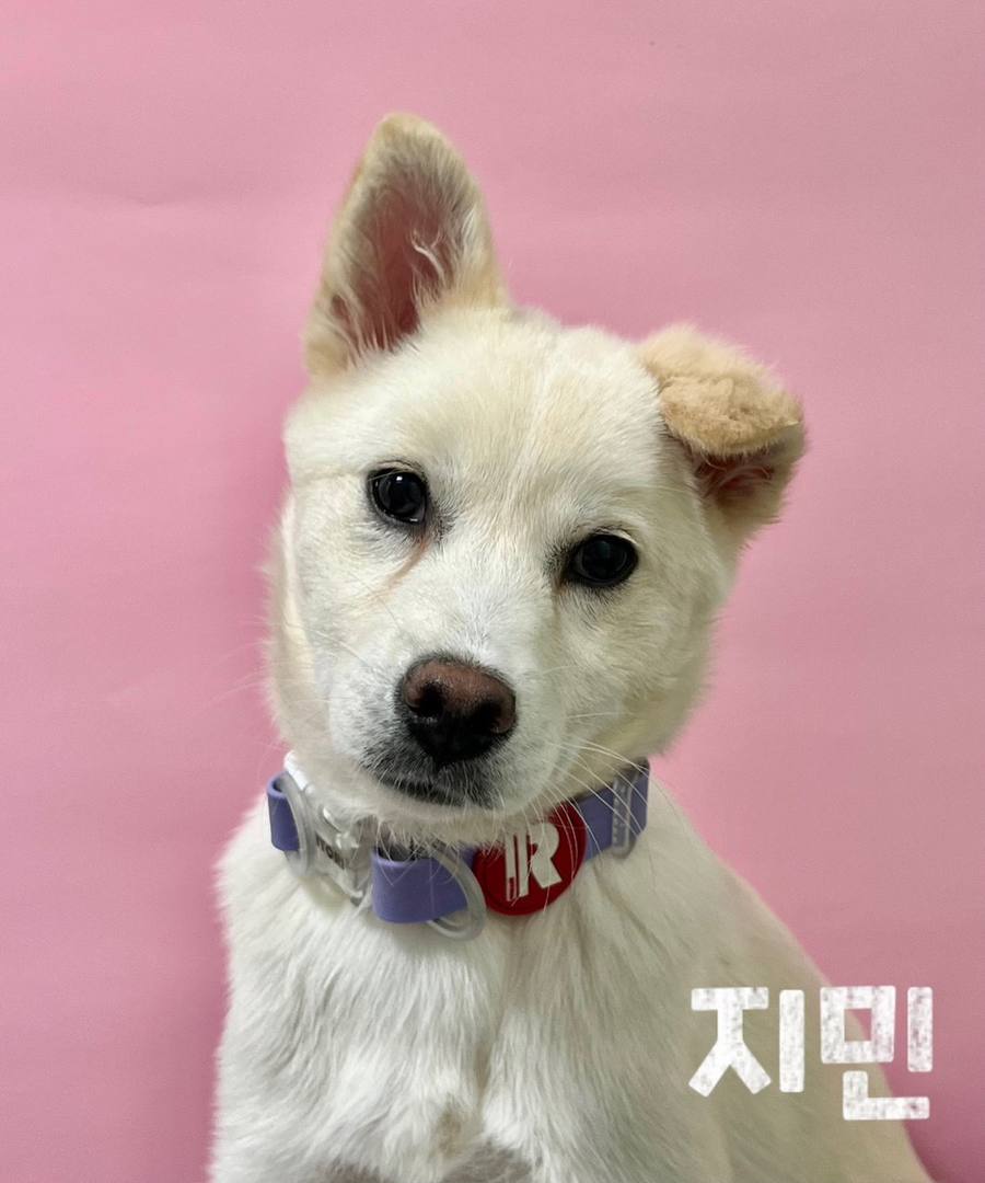 지민