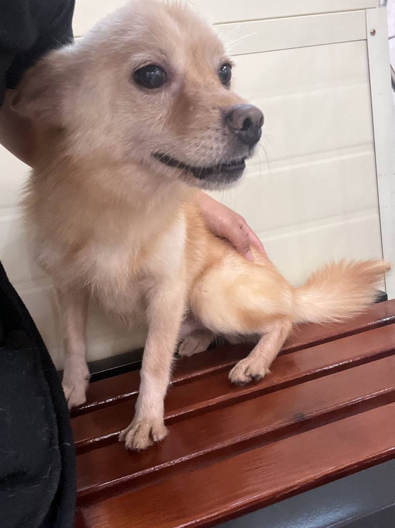 태양이