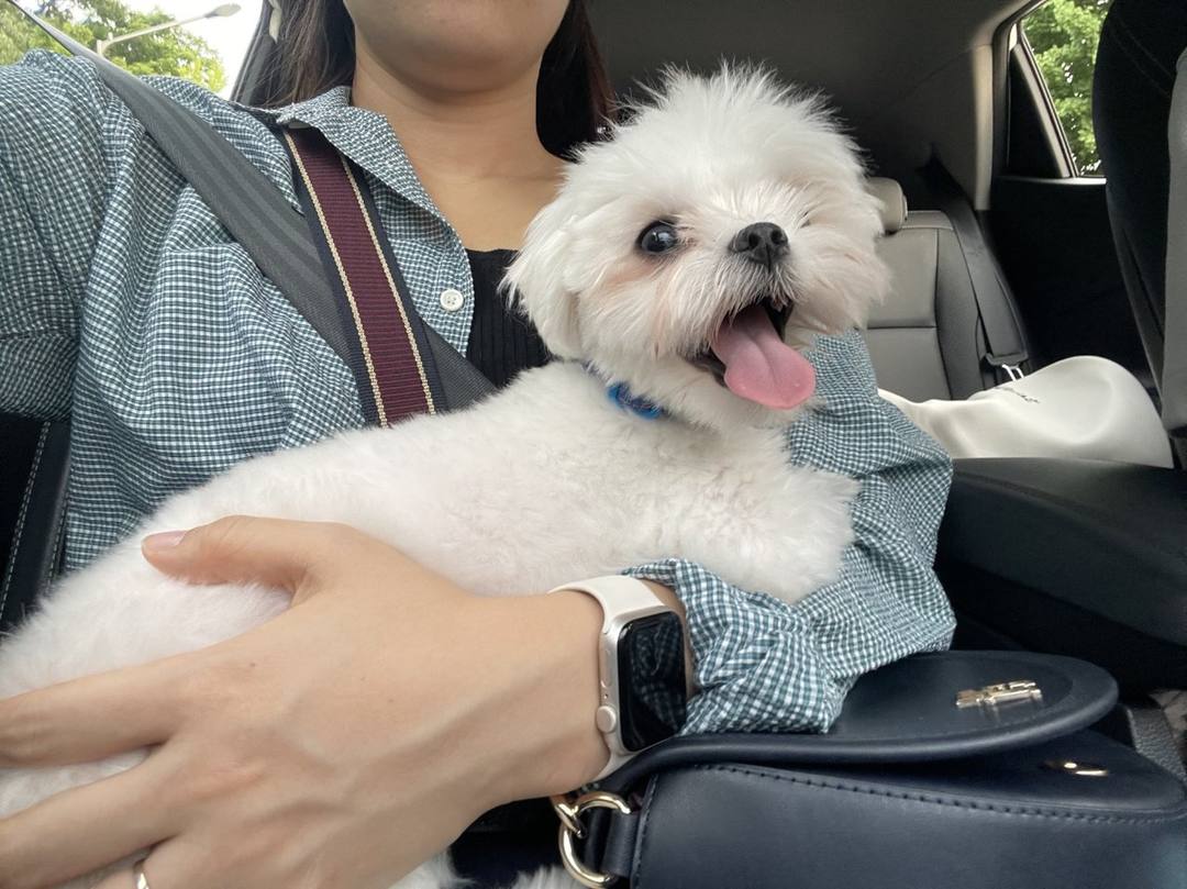 제이