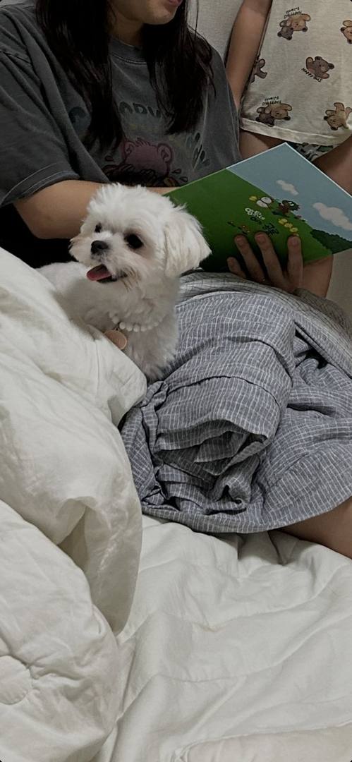 제이