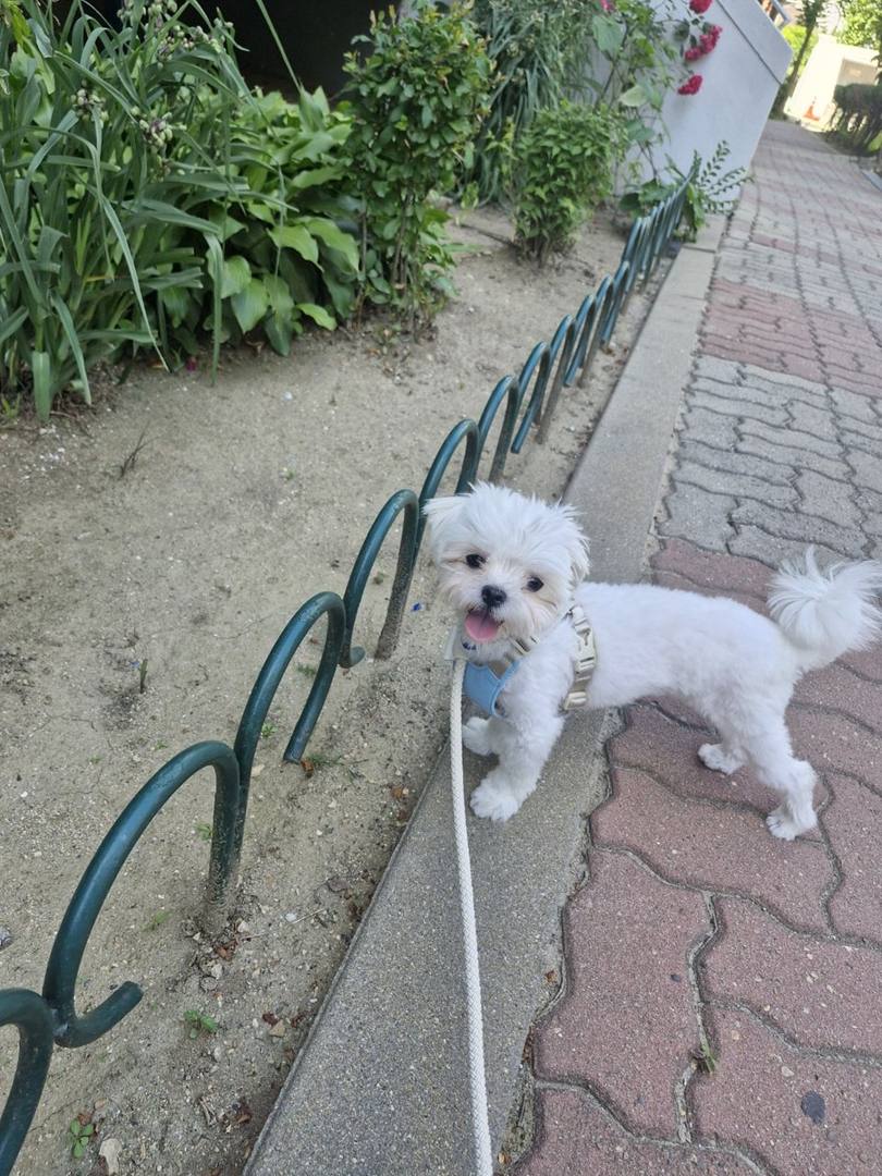 제이