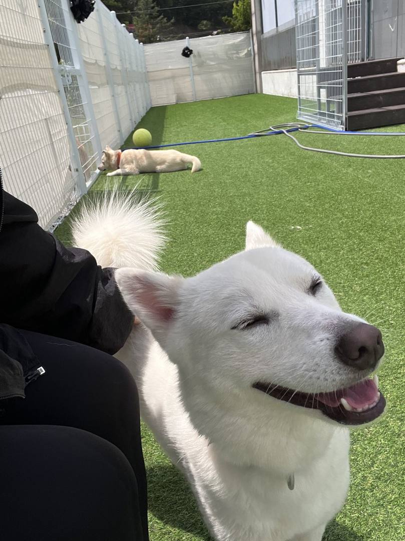 오름이