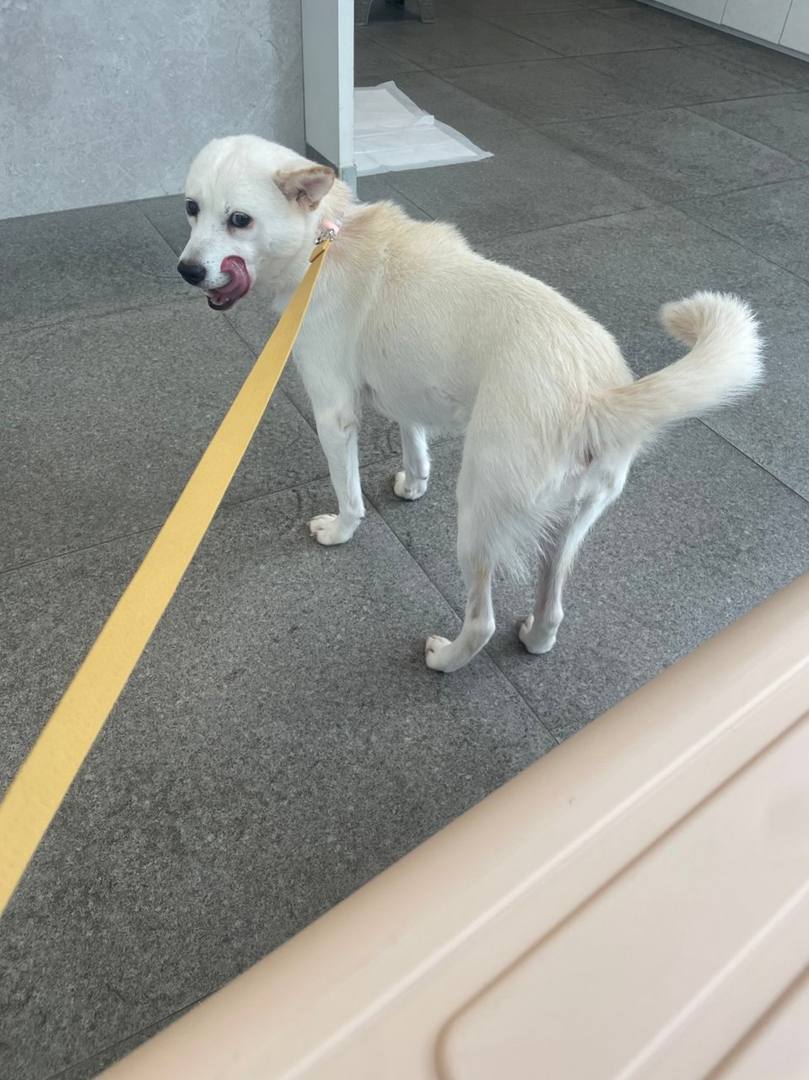 나르