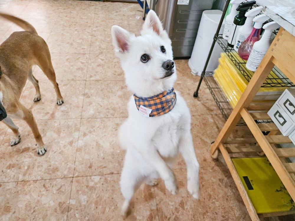 대박