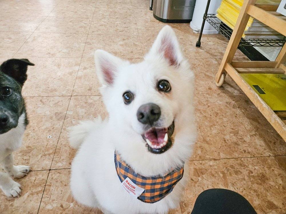 대박