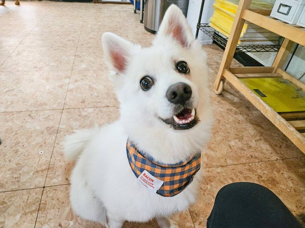 대박