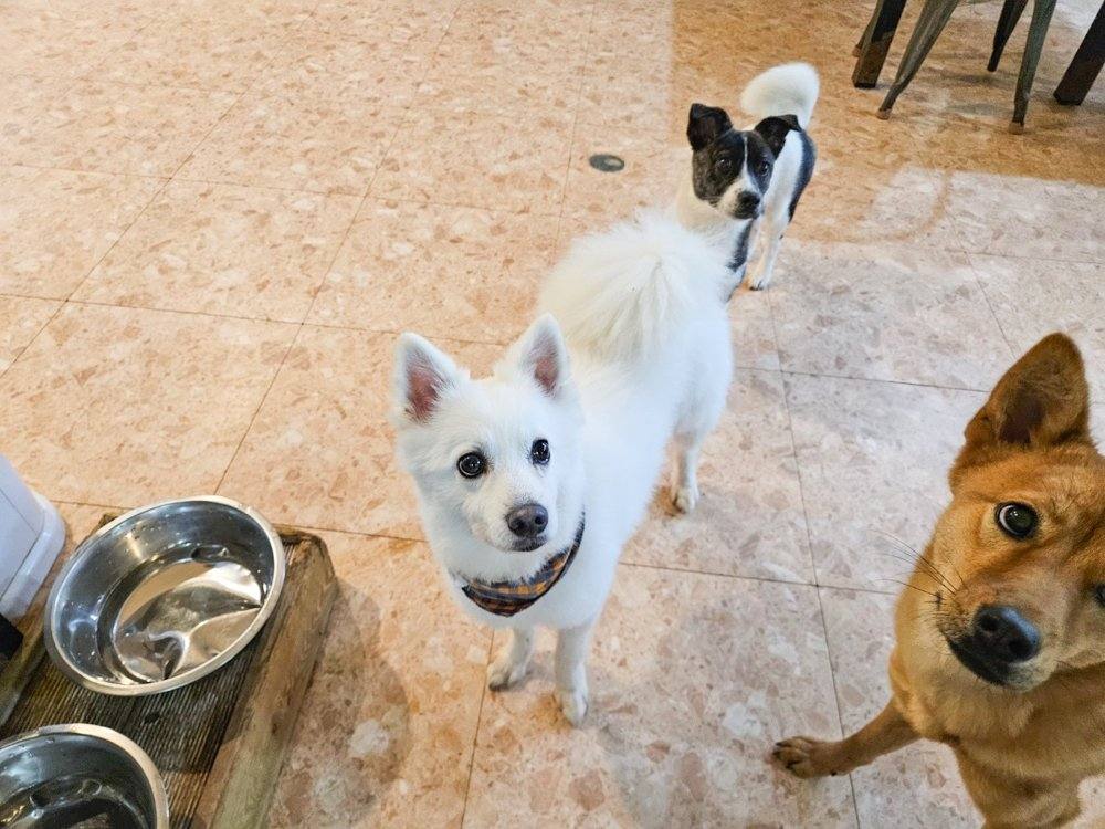 대박