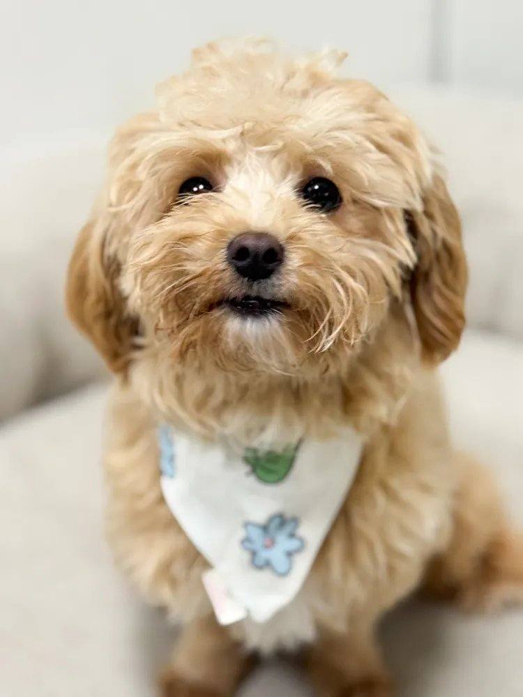 우승