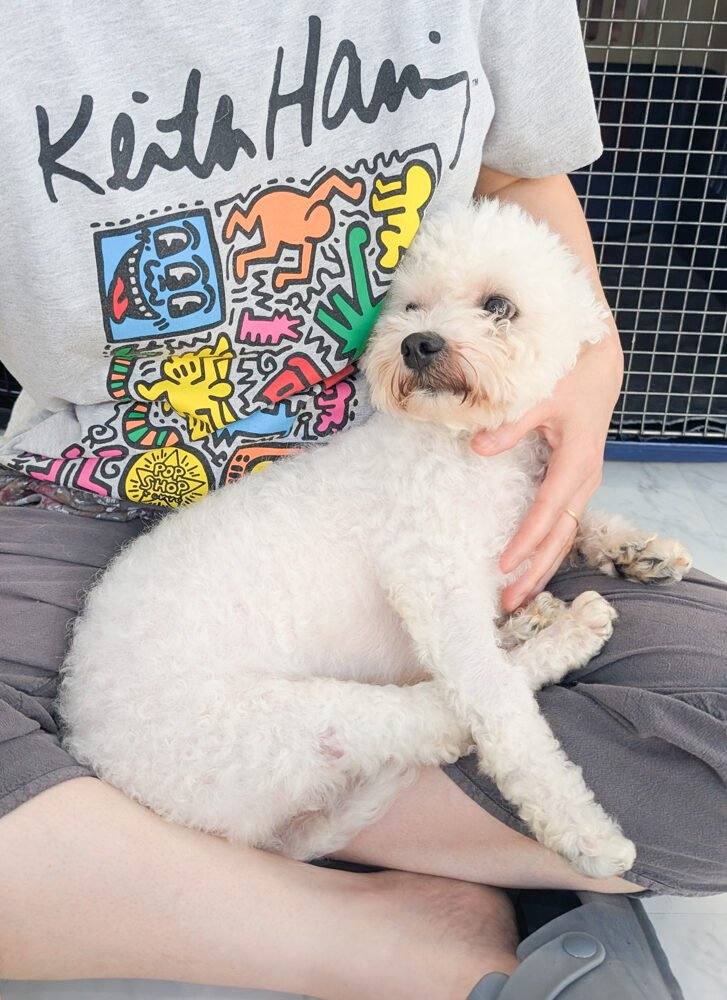 호호