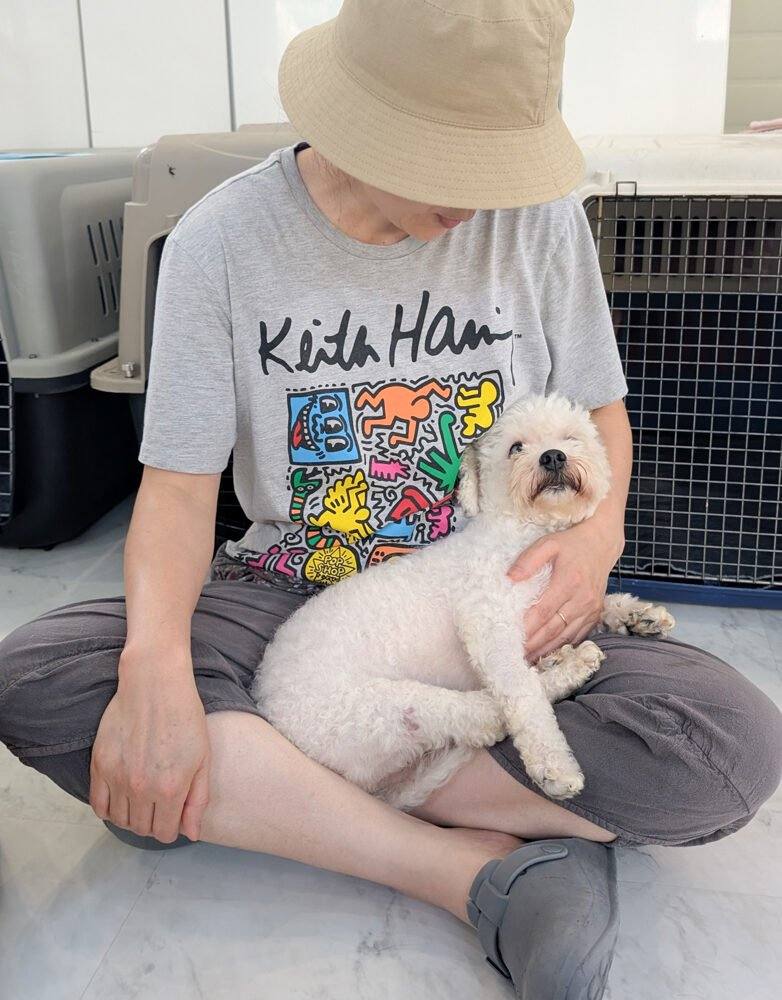 호호