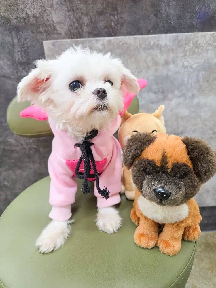 칠십