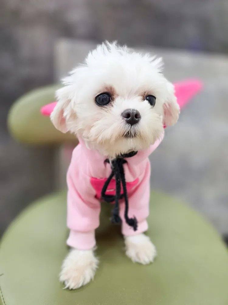 칠십