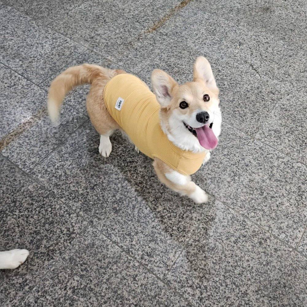 루디아