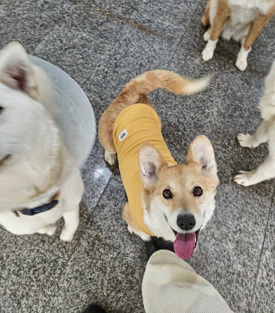루디아