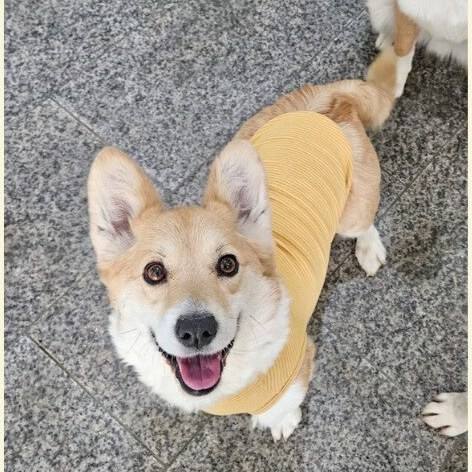 루디아