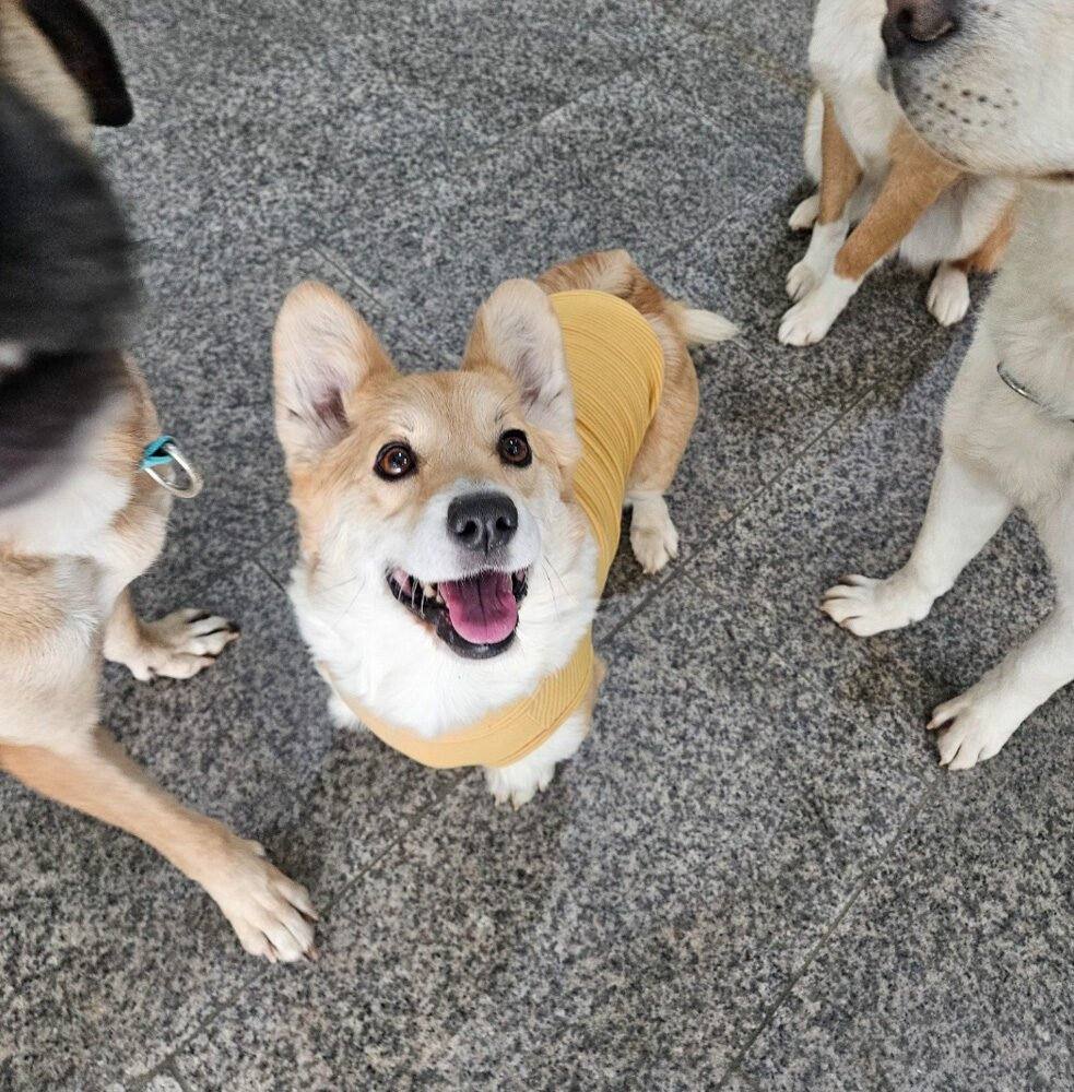 루디아