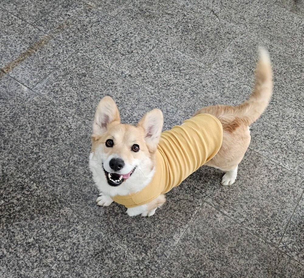 루디아