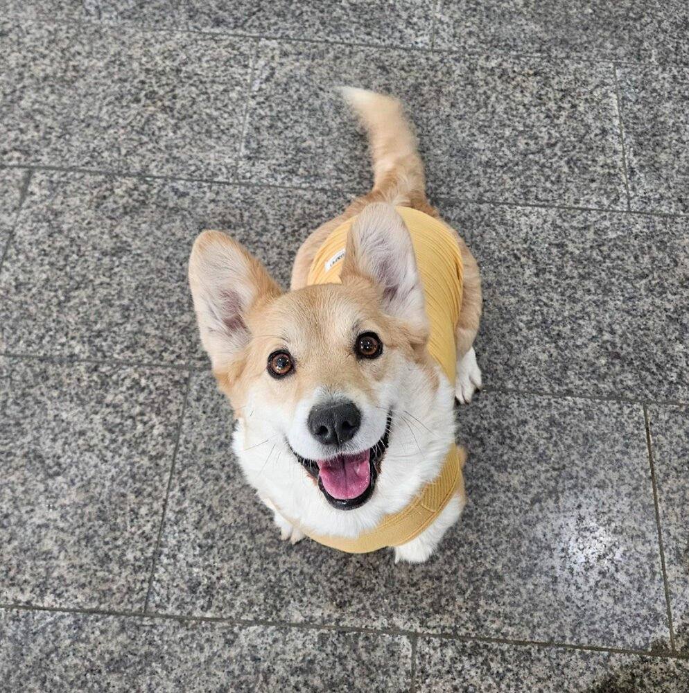 루디아