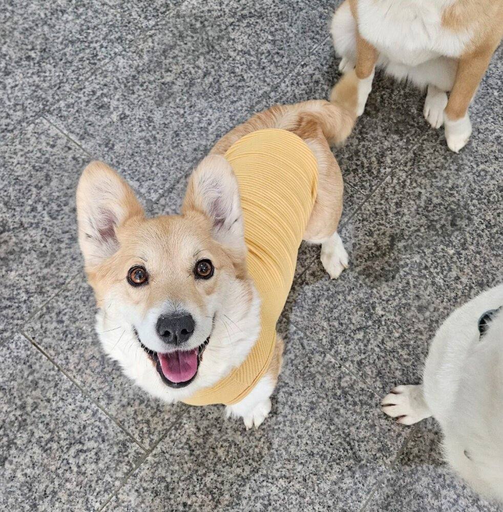 루디아