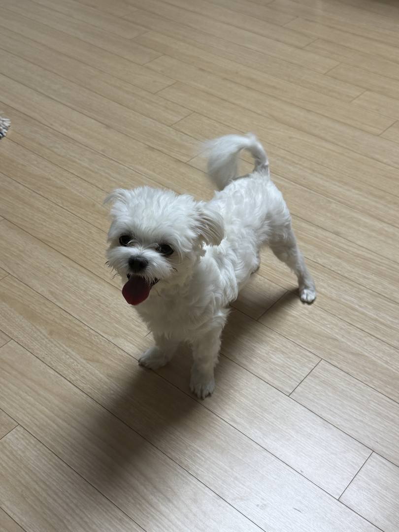 지영