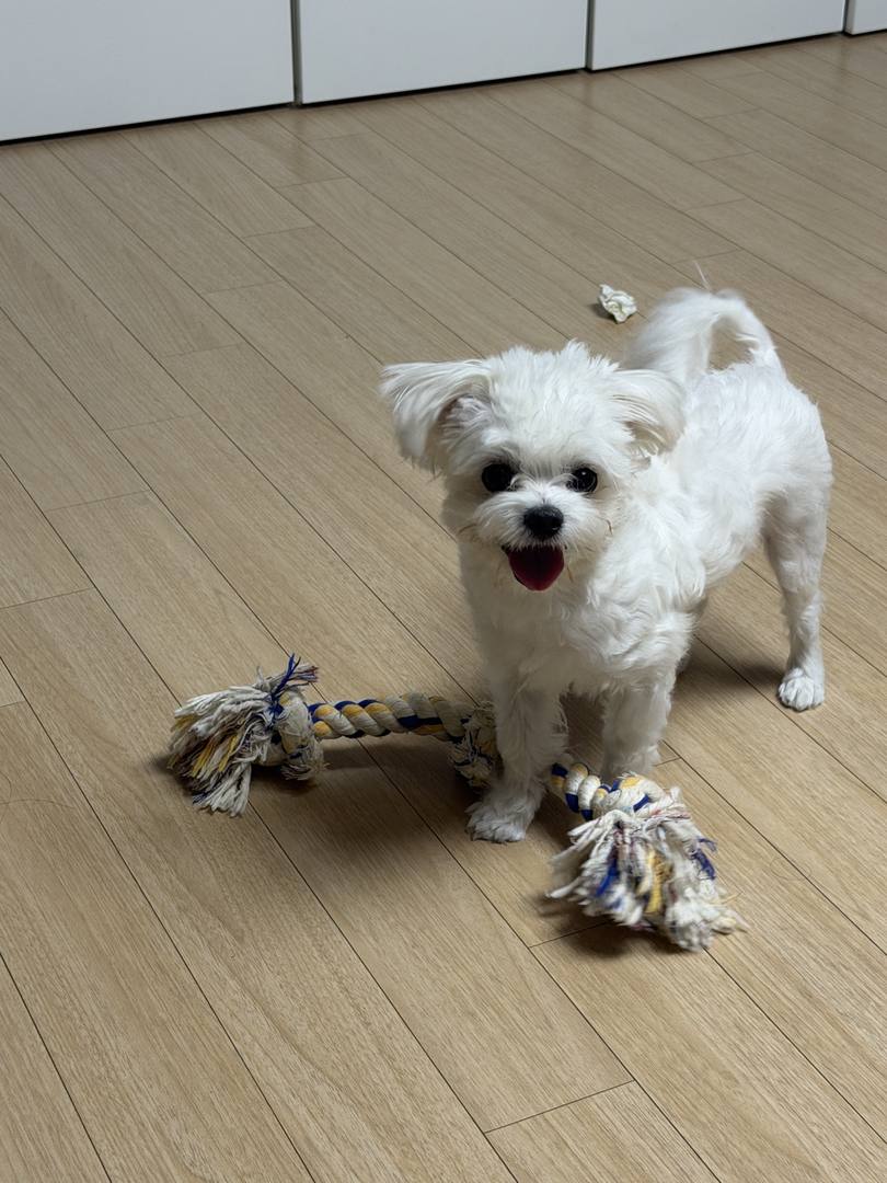 지영