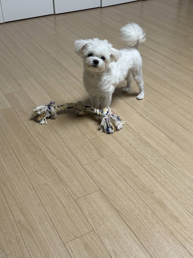 지영
