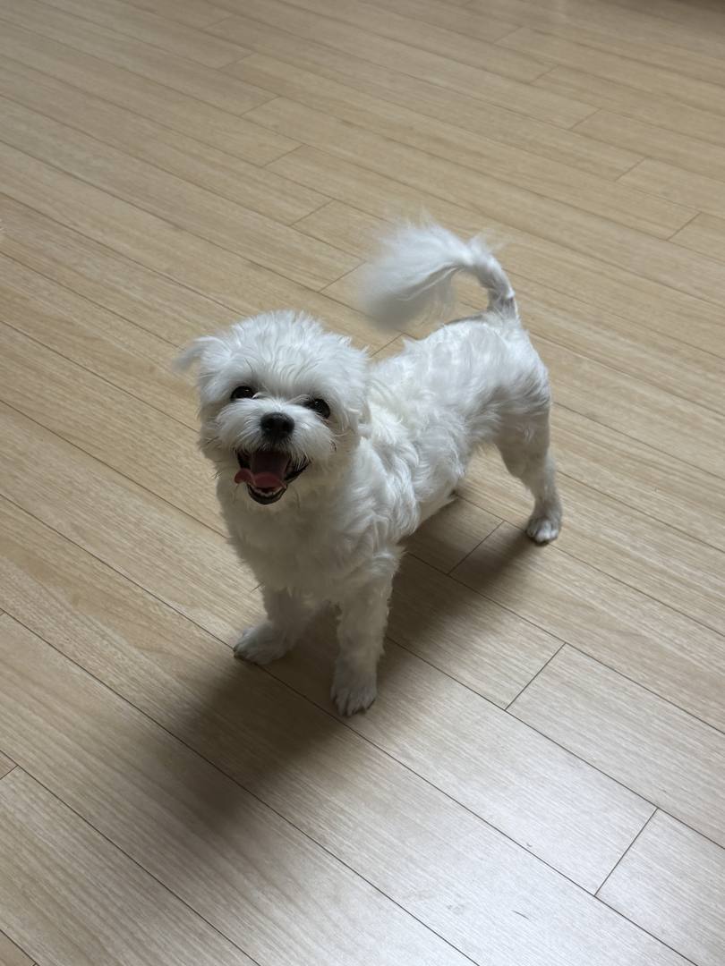 지영