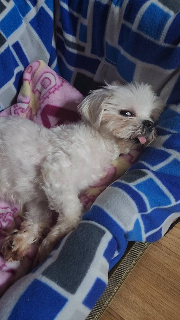 가람