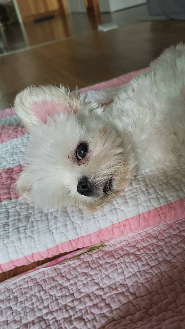 가람