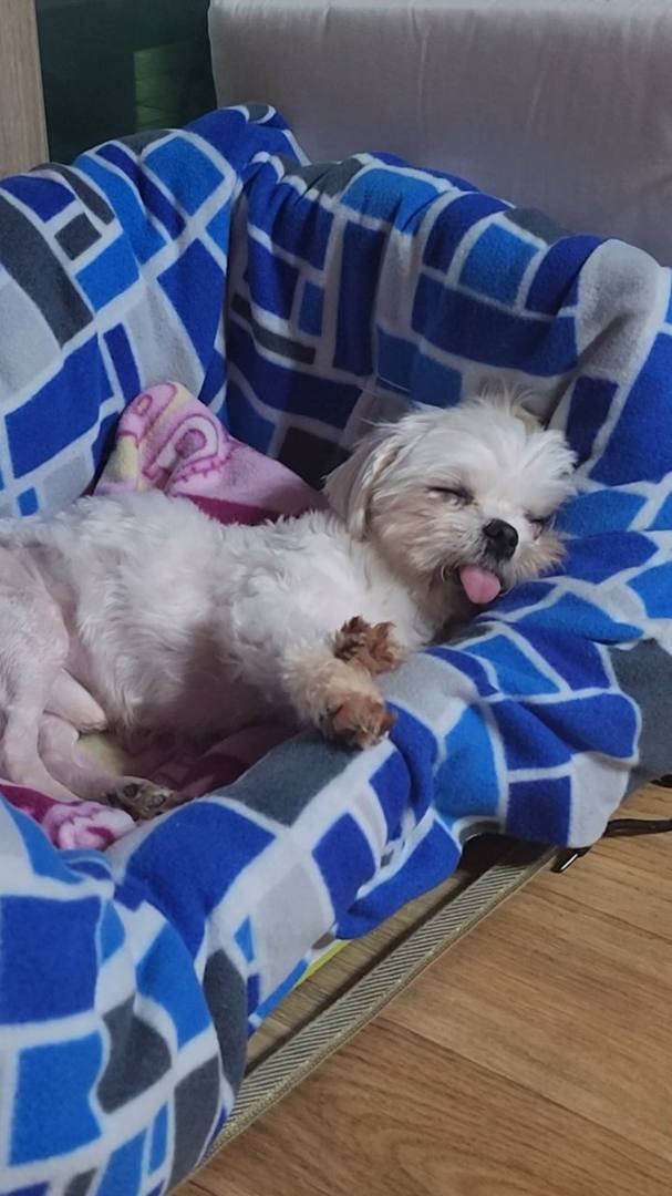 가람