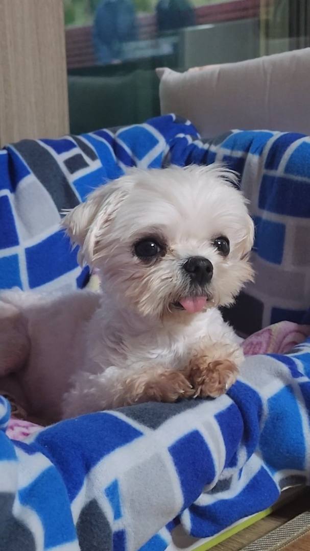 가람