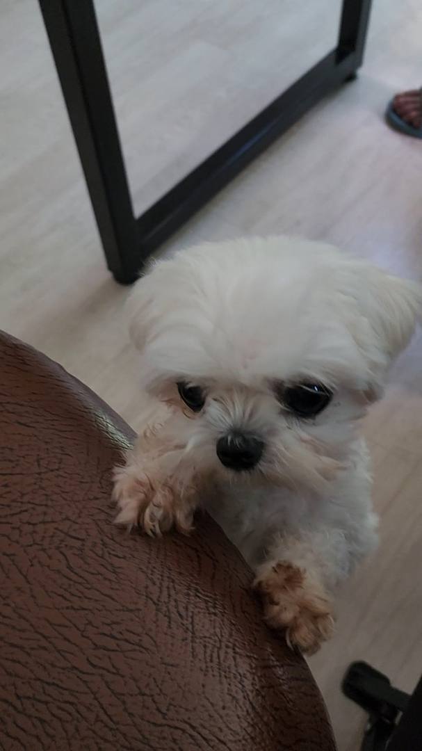 가람