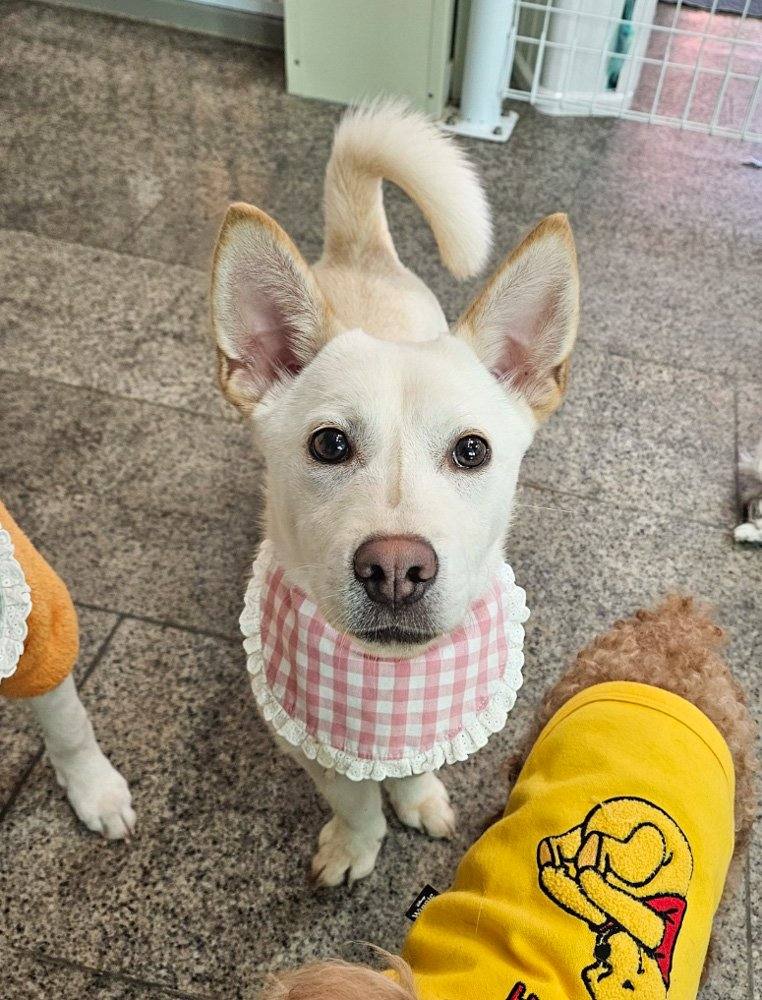 하루