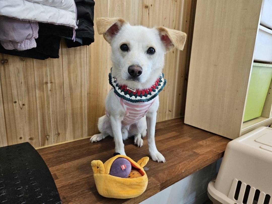 마루