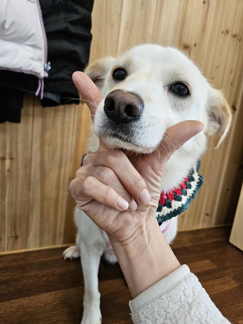마루