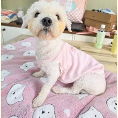 부티