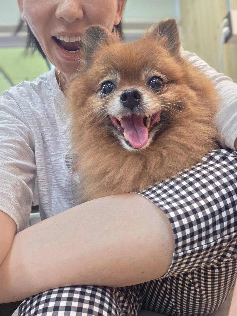 Gimpo Breeding Facility) Gabel