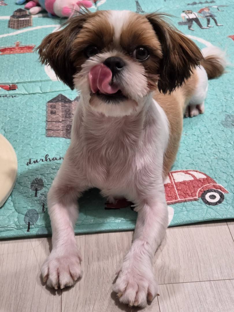 윤이