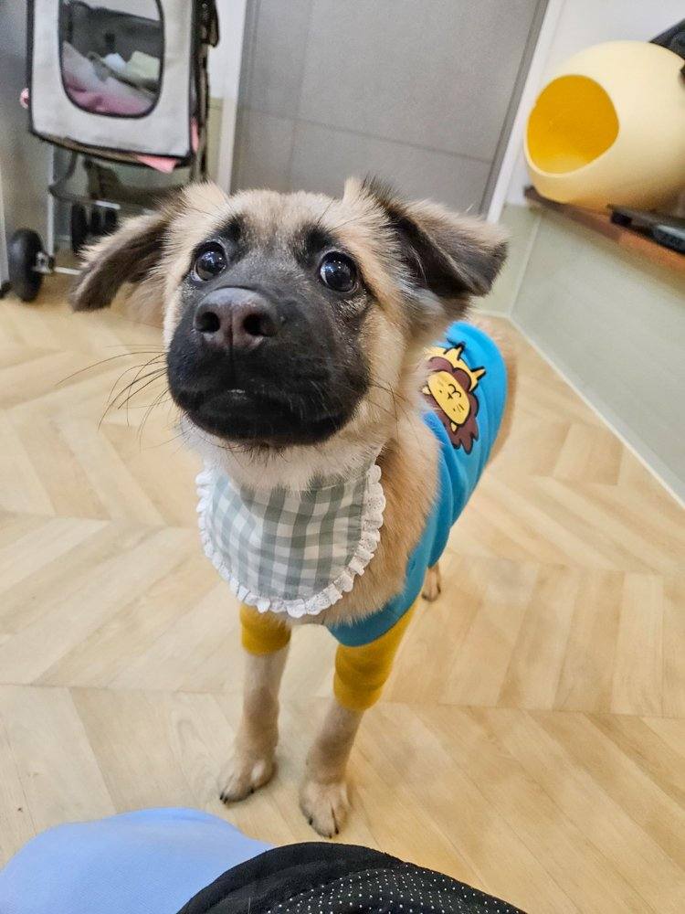 Ali