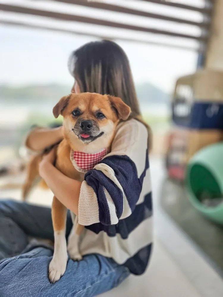 도랑