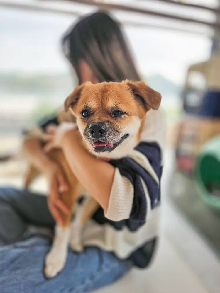 도랑