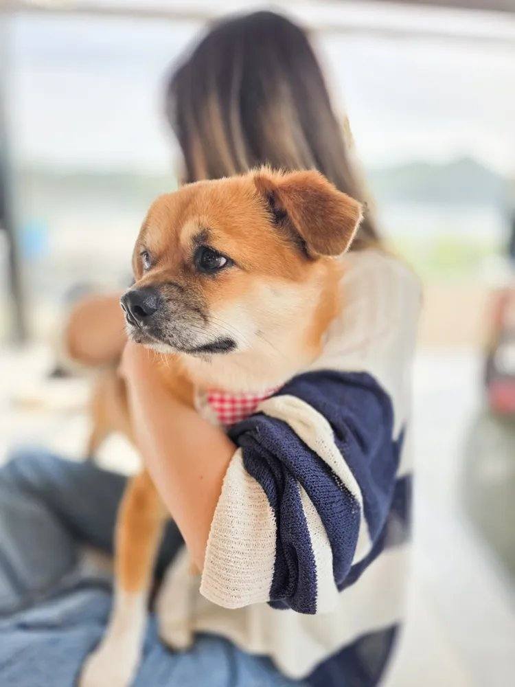 도랑