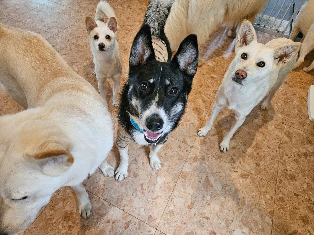 페퍼
