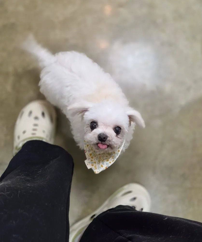 여니