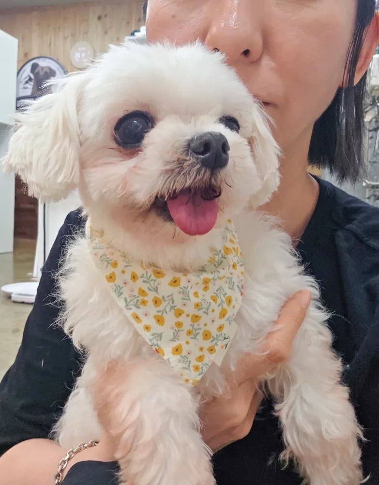여니