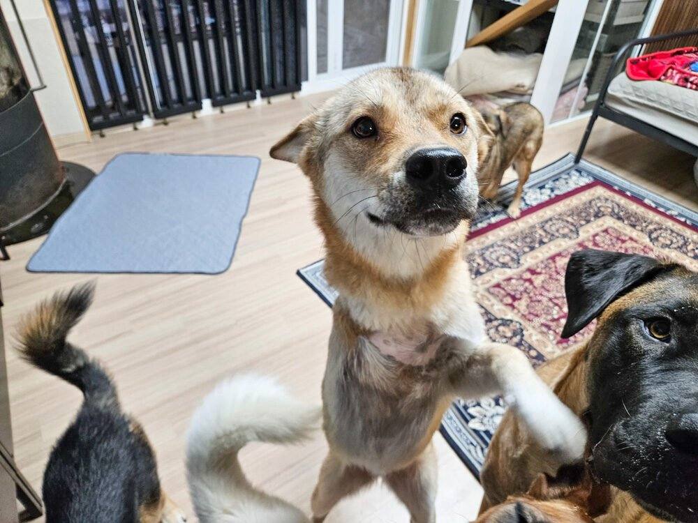 하늘